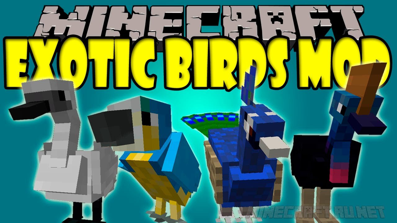 Minecraft Exotic Birds