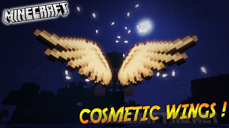 Minecraft Cosmetic Wings