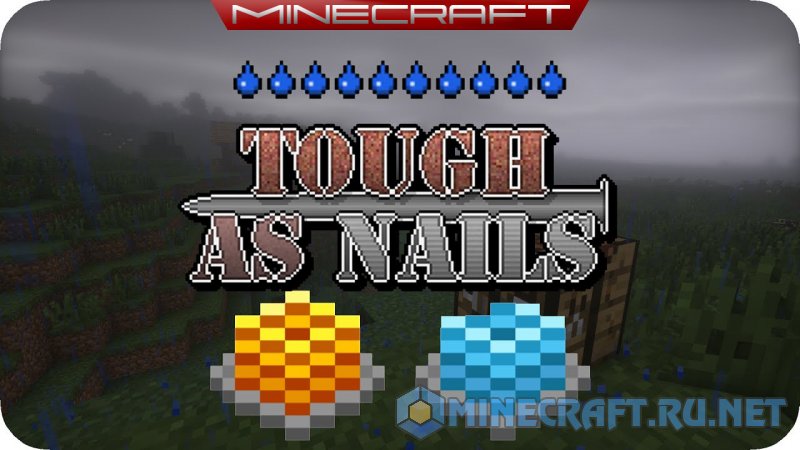 Tough As Nails V 3 0 1 12 Mods Mc Pc Net Minecraft Downloads