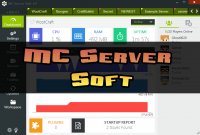 MC Server Soft - Soft
